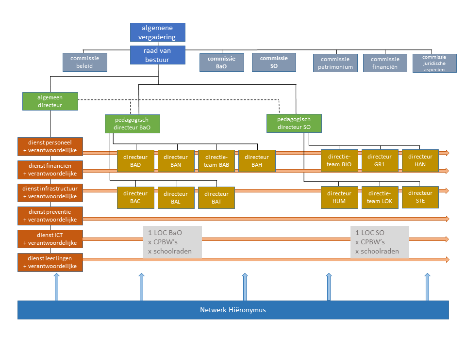 Organisatiestructuur