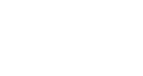 Logo SO Wijs